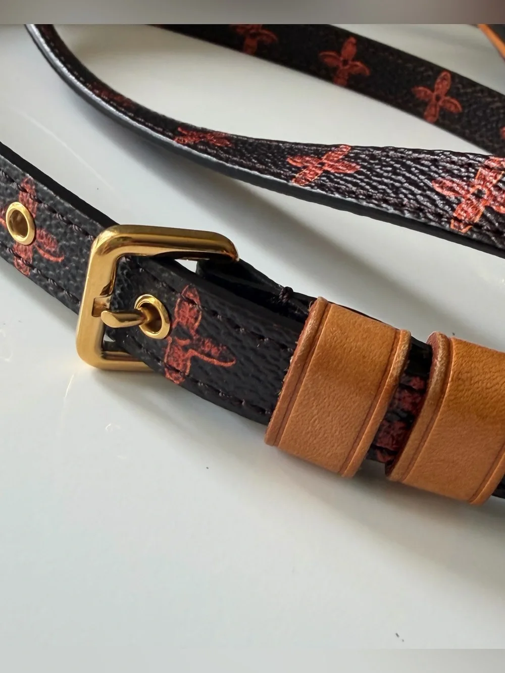 Louis Vuitton Grace Coddington Catogram Paname Mini Crossbody Bag